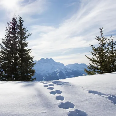 Apartment Les Girolles B14 By Interhome Villars-sur-Ollon