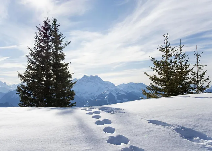 Les Girolles B14 By Interhome Villars-sur-Ollon